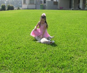 girl-wearing-dress-playing-with-her-dog-on-the-grass