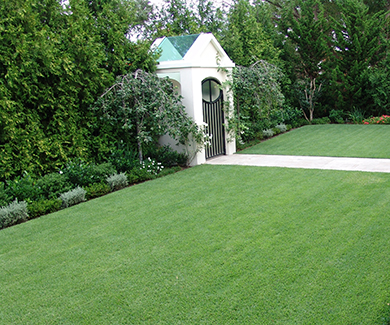 house-with-clean-lawn