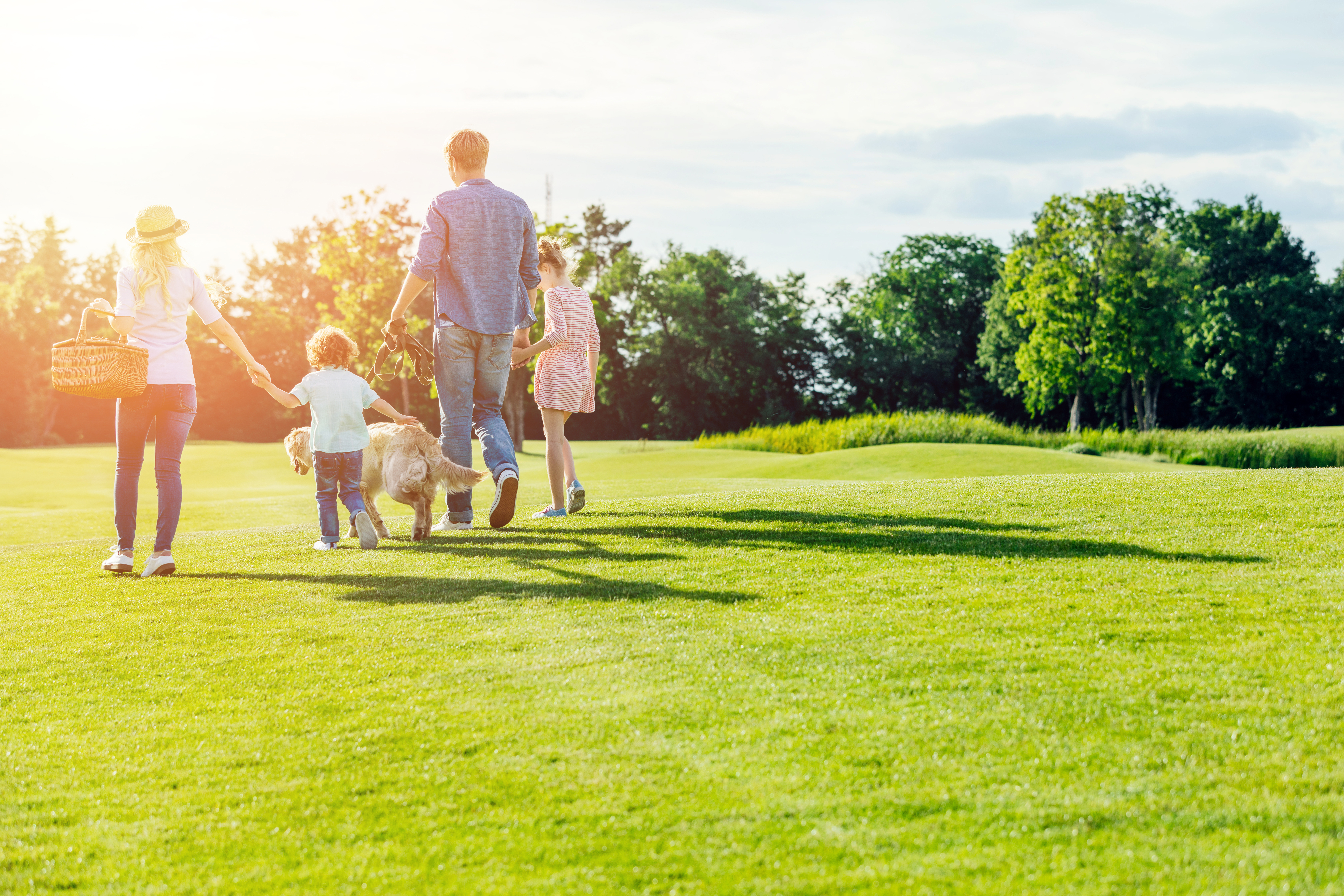 back view of family with pet walking on green meadow in park